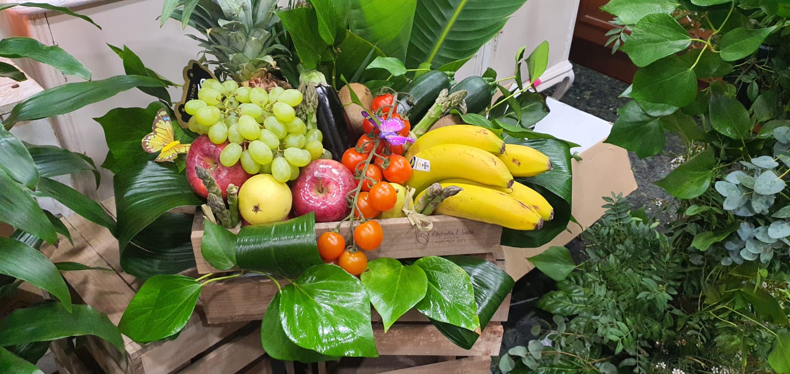 decoración minimalista con plantas